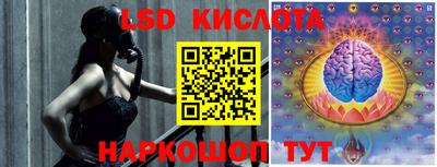 ПСИЛОЦИБИНОВЫЕ ГРИБЫ Камышлов