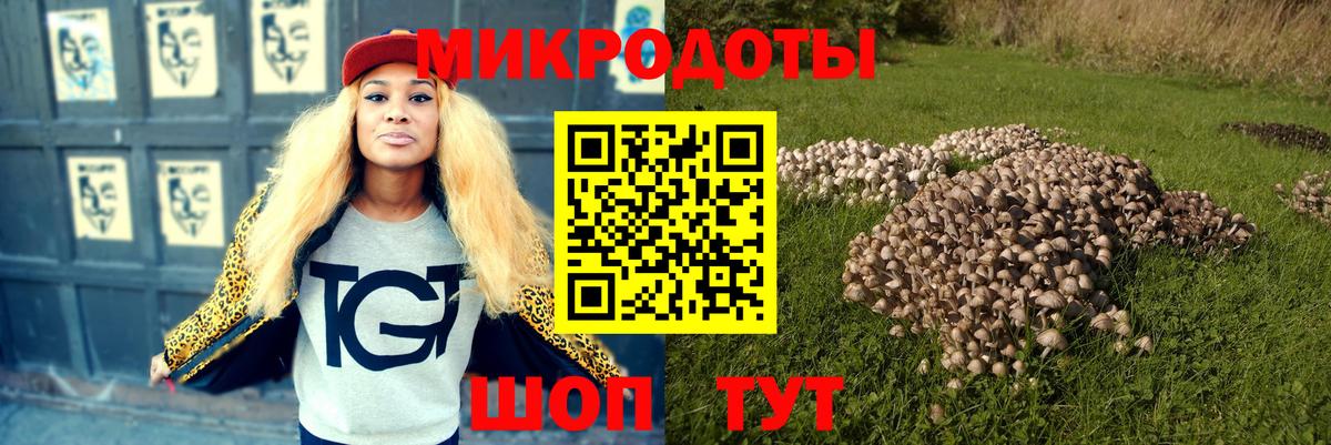 Галлюциногенные грибы мухоморы  купить наркоту  Янаул  Вход с VPN 