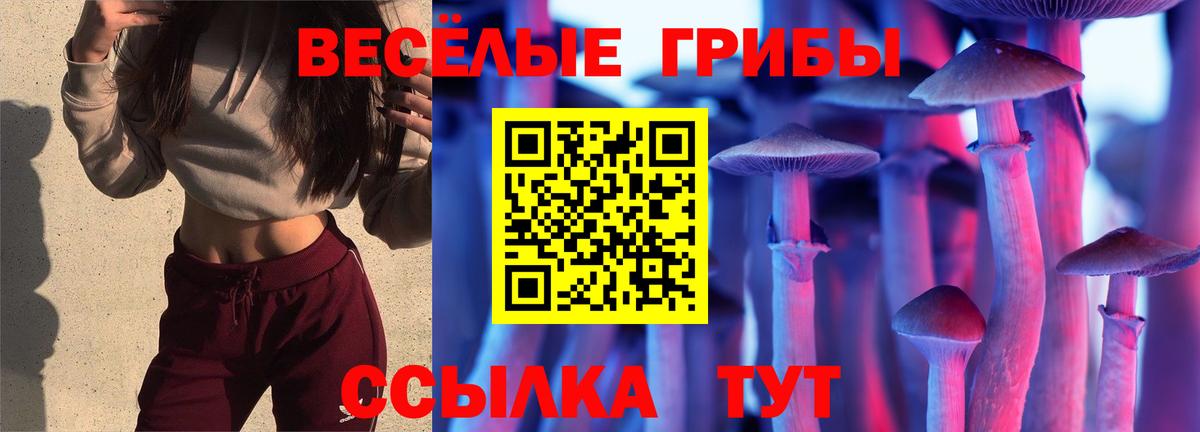 Галлюциногенные грибы ЛСД Янаул